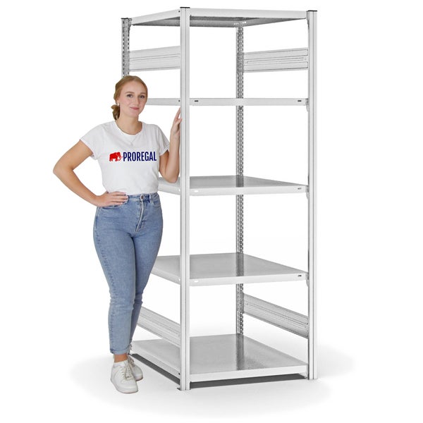 PROREGAL Fachbodenregal Stecksystem T-Profil Light-Duty Grundregal HxBxT 200 x 75 x 80 cm 5 Ebenen Fachlast 130 kg Beidseitig Nutzbar Lichtgrau