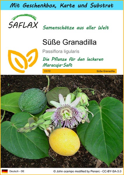 SAFLAX Geschenk Set - Süße Granadilla - Passiflora ligularis - 20 Samen - Mit Geschenkbox, Versandaufkleber, Geschenkkarte und Anzuchtsubstrat