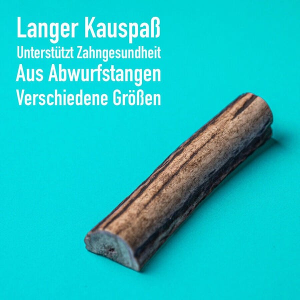 GreenHero Hirschgeweih Kaustange - L