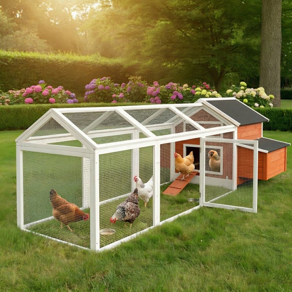 Hühnerstall aus Holz mit Satteldach, Legenest und offener Tür mit Rampe auf einer Wiese mit zwei Hühnern.