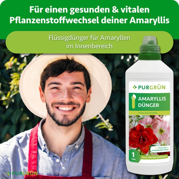 Eine Flasche Purgrün Amaryllis Dünger Flüssigdünger mit einem Liter Inhalt und einem lächelnden Gärtner mit Hut im Hintergrund.