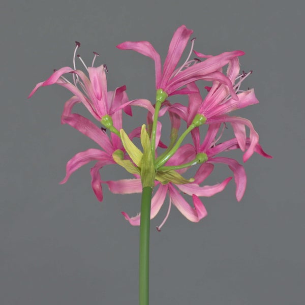 Künstliche Nerine mit mehreren rosafarbenen Blütenköpfen an einem grünen Stiel.