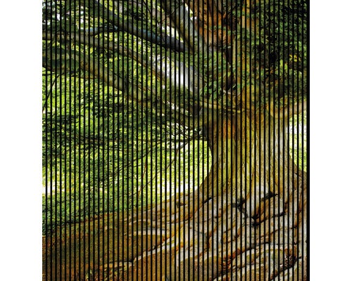 Akustikpaneel digital bedruckt Baum 1 19x2253x2400 mm Set = 4 Einzelpaneele