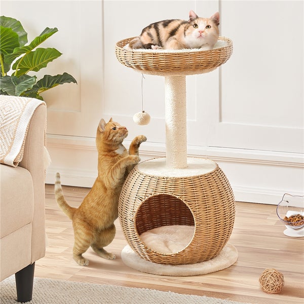 Katzenkratzbaum mit zwei Katzen, eine liegt oben, die andere spielt an der Seite