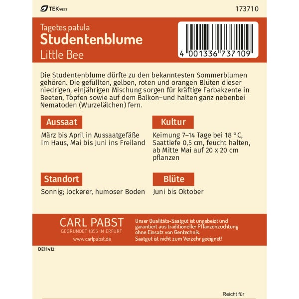 Studentenblume Little Bee Samen von Pabst Keimkraft