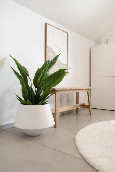 Helle, moderne Raumgestaltung mit einer großen grünen Zimmerpflanze in einem weißen geometrischen Pflanzgefäß, einer Holzbank und abstrakter Wandkunst.