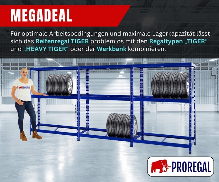 Blaues Reifenregal Tiger aus Metall mit drei Ebenen, Reifen und Person zum Größenvergleich. Proregal Logo.
