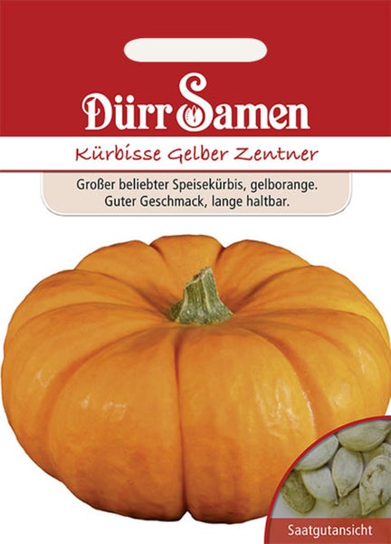 Samentüte für Kürbis Gelber Zentner von Dürr Samen mit Abbildung eines großen, gerippten Speisekürbisses und einer Detailansicht der Samen.