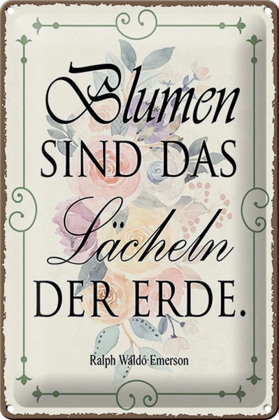 Blechschild Spruch 20x30cm Blumen sind das Lächeln der Erde