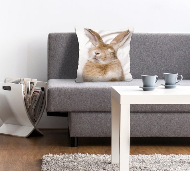 Kuschelkissen, Kissenhülle, Kissenbezug Schlafender Hase PI113184_40x40cm