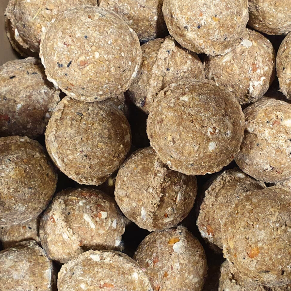 Nahaufnahme von Karpfenfutter Boilies