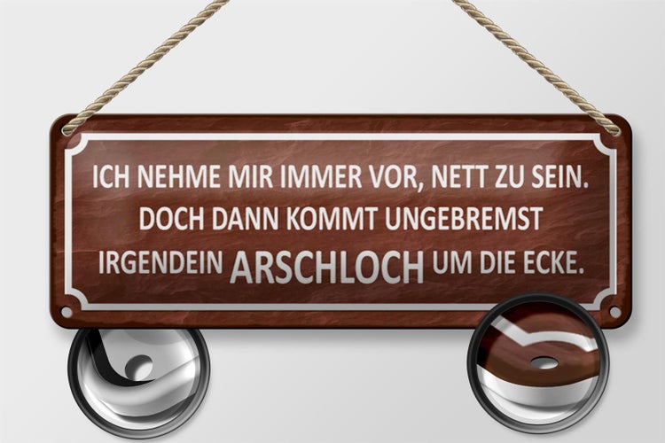 Blechschild Spruch 27x10cm ich immer nett doch Arschloch Dekoration
