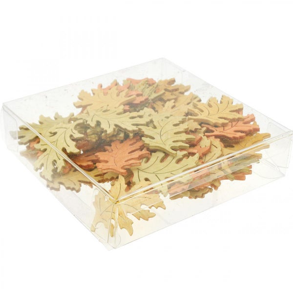 Dekorative Holzblätter in einer transparenten Kunststoffbox