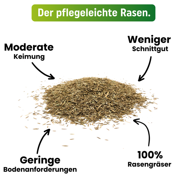 Greenyp Super Rasen I sattgrüner Premium Zierrasen I 5kg für 200m² I Traumrasen Nachsaat Grassamen Rasensamen Rasensaat Gras schnellkeimend