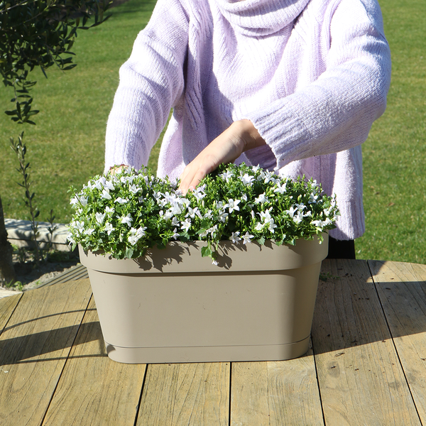 Balkonkasten mit Halterung, Blumenerde und drei lila Glockenblumen in Töpfen.