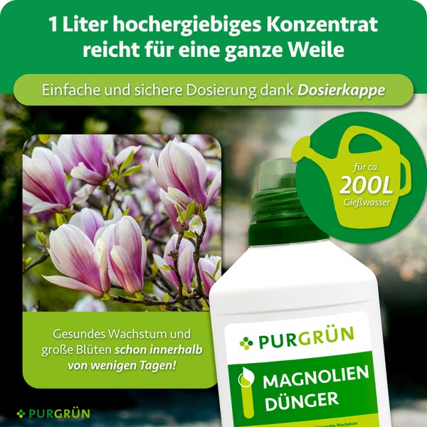 PURGRÜN Magnoliendünger Konzentrat 1 Liter Flasche für gesundes Pflanzenwachstum und Blütenbildung.