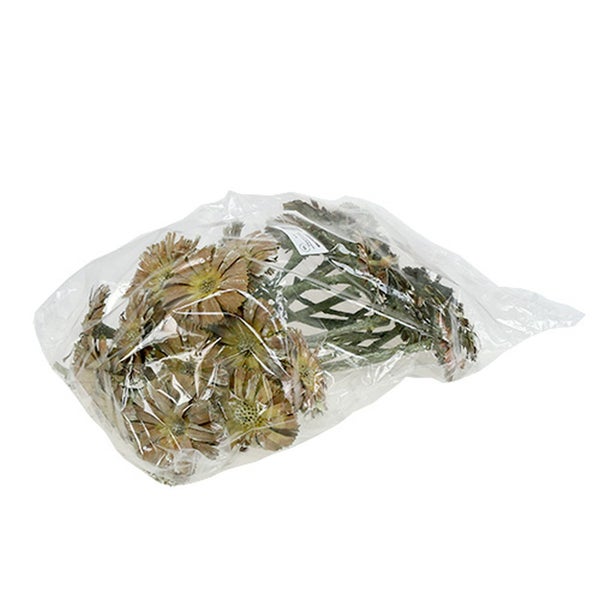 Trockenblumenstrauß in Kunststoffverpackung