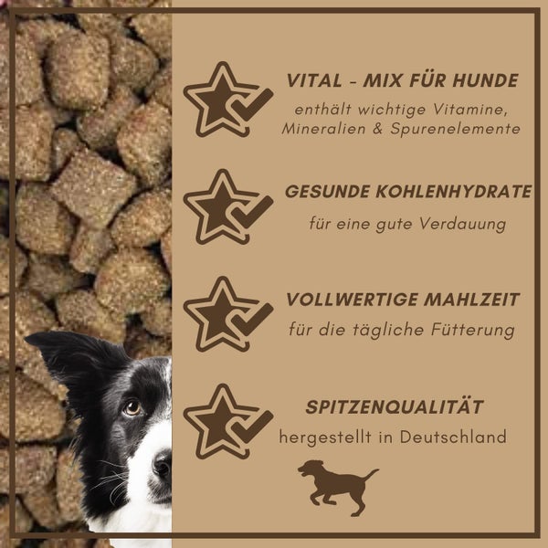 Informationen über Hundefutter: Vital-Mix, gesunde Kohlenhydrate, vollwertige Mahlzeit und Spitzenqualität aus Deutschland