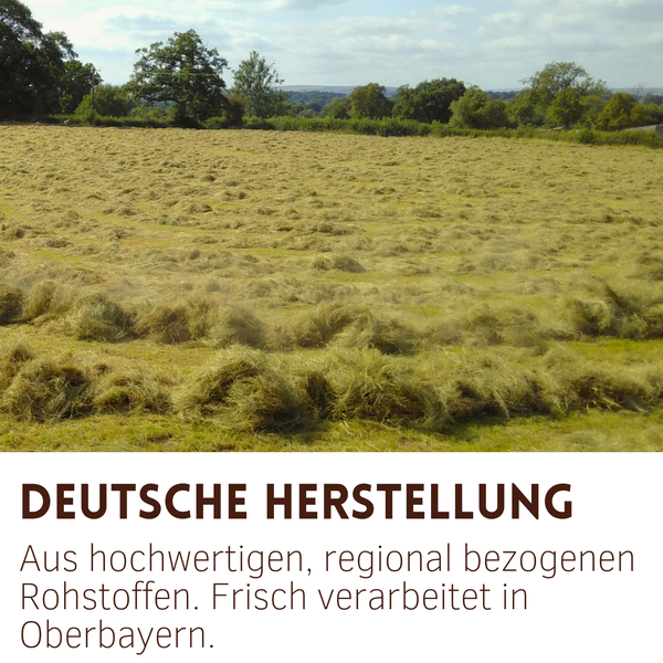 Feld mit frisch geschnittenem Heu