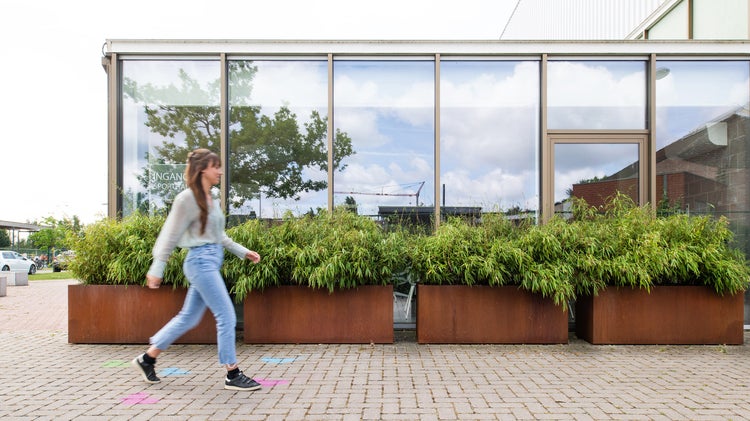 Große rechteckige Pflanzkübel aus Cortenstahl mit Bambuspflanzen vor einer modernen Glasfassade im Außenbereich.