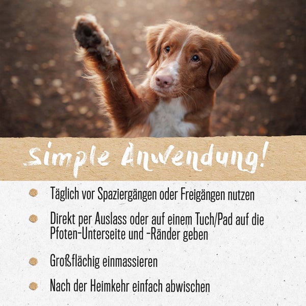ALPHAZOO Brandlöscher Anti Juckreiz Pfoten Liquid 100ml I Für Hunde und Katzen