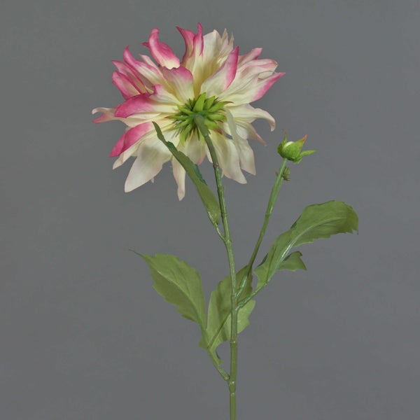 Künstliche Dahlie mit weiß-pinker Blüte, Knospe und grünen Blättern.