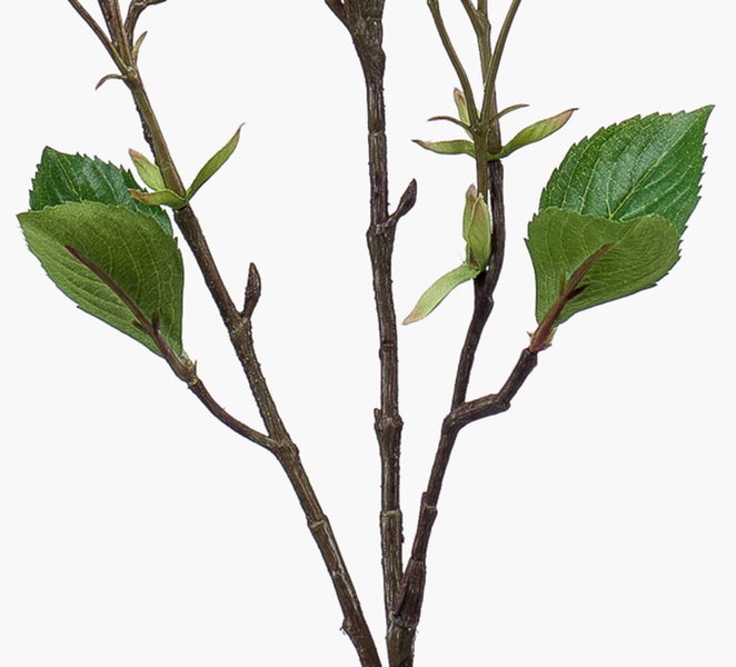 Künstliche Pfingstrose in Korallenrot mit grünem Stiel und Blättern.