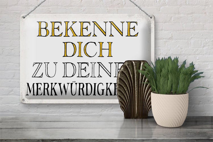 Blechschild Spruch 30x20cm bekenne dich Merkwürdigkeiten