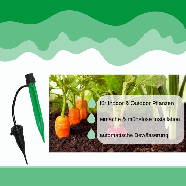 Automatische Bewässerungshilfe für Zimmer- und Gartenpflanzen, einfache Installation, dargestellt mit Karotten in der Erde.