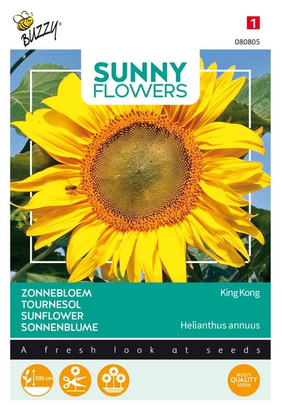 Sonnenblumen-Samenpackung der Sorte King Kong von Buzzy