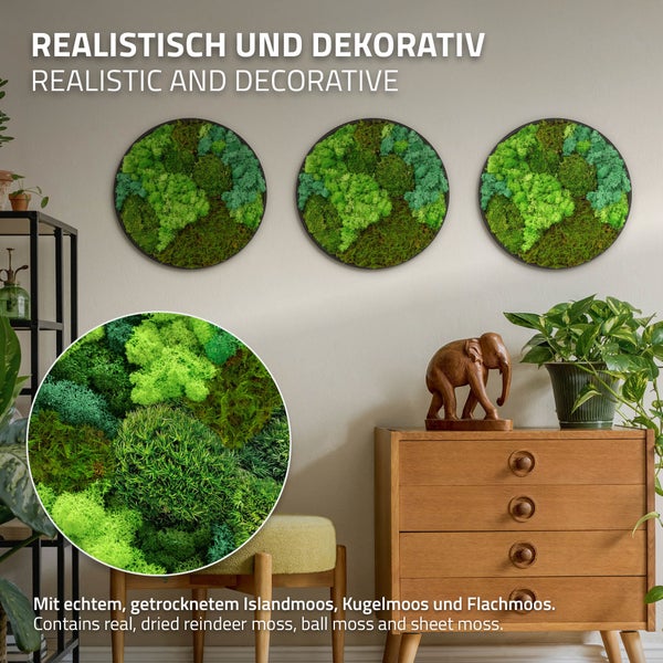 Drei runde Wandbilder mit echtem, getrocknetem Islandmoos, Kugelmoos und Flachmoos in einem modern eingerichteten Wohnraum als Wanddekoration.