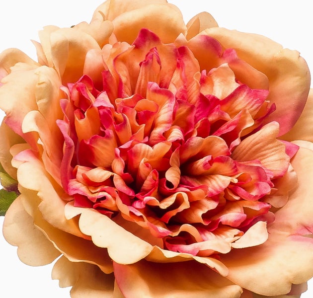 Nahaufnahme einer künstlichen Pfingstrose in Apricot und Pink mit detailreichen Blütenblättern.