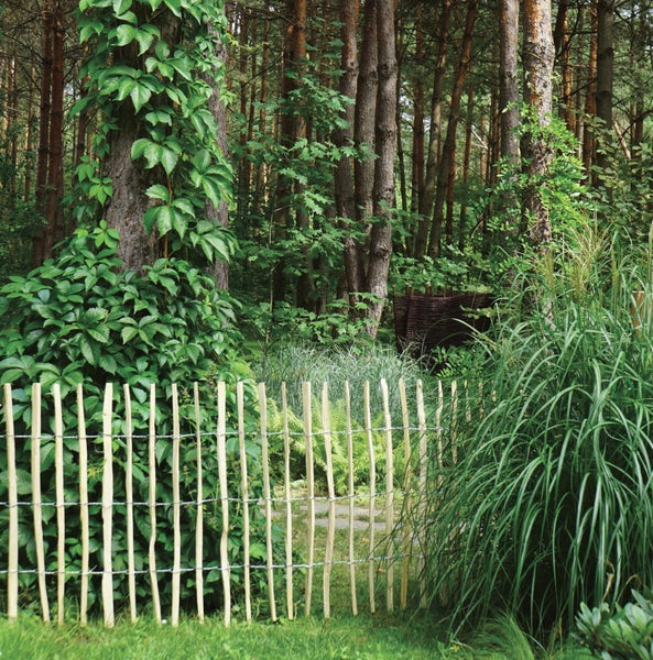 Gartenszene mit Zaun aus Holzstäben, Bäumen und Grünpflanzen