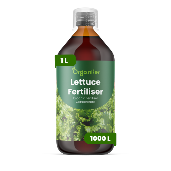 Organifer Salatdünger, organisches Düngerkonzentrat, 1 Liter Flasche für circa 1000 Liter Gießwasser.