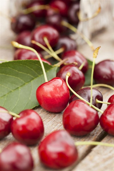Frische rote Kirschen mit Stielen und grünen Blättern auf einer Holzoberfläche.