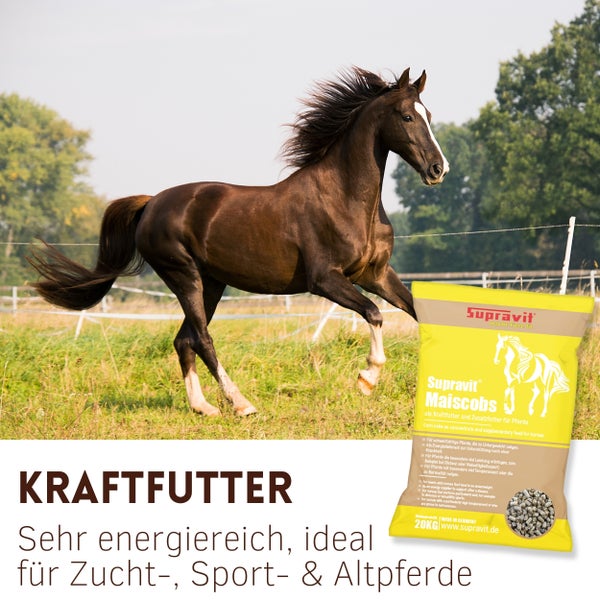 Pferdefutter-Produktfoto mit einem galoppierenden Pferd und einer Packung Supravit Maiscobs Pferdefutter