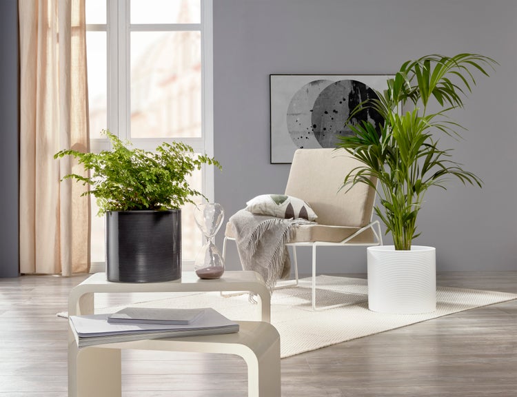 Scheurich Blumentopf aus Keramik,  Farbe: Glass Grey, 23 cm Durchmesser, 21 cm hoch, 7,4 l Vol.