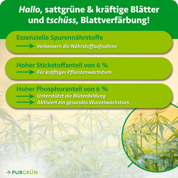 Infografik zum Purgruen Pflanzendünger mit Hinweisen zu Spurenelementen, Stickstoff und Phosphor für gesundes Pflanzenwachstum.