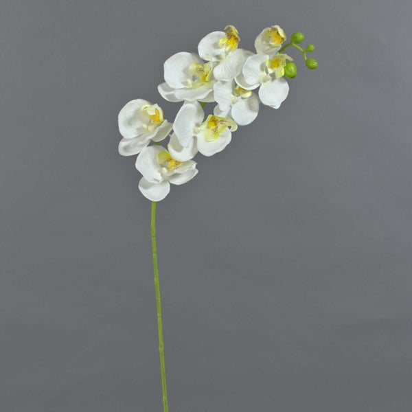 Künstlicher Orchideenzweig mit weißen Blüten und grünen Knospen.