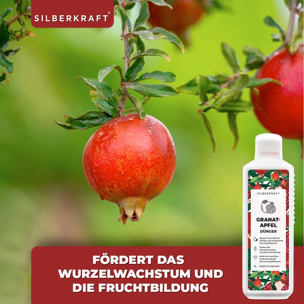 SILBERKRAFT Granatapfel Dünger – Für Granatapfelbäume – 1 Liter