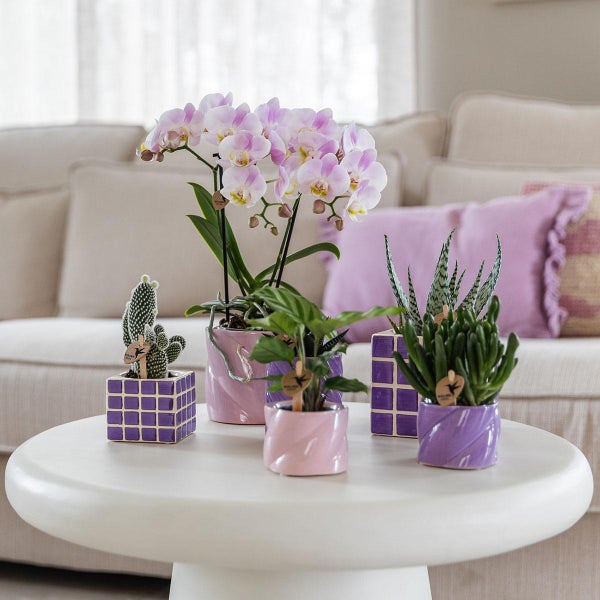 Übertopf-Trio Mosaik-Würfel - Set mit 3 bunten Töpfen - rosa-violett - für 9cm Töpfe