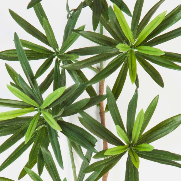 Künstlicher Zweig mit schmalen, spitzen grünen Blättern in Sternform an einem braunen Stiel.