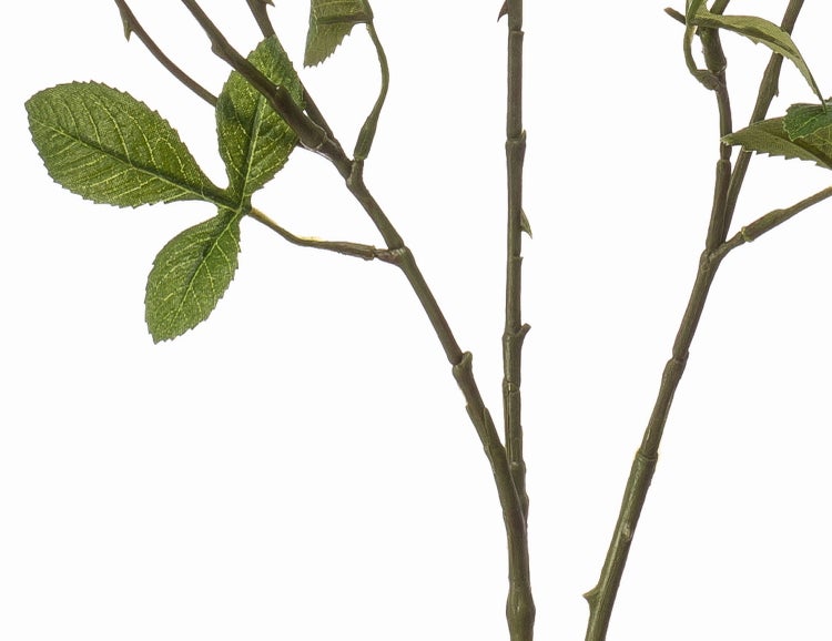 Detailaufnahme eines künstlichen Zweigs mit grünen Blättern und Dornen.