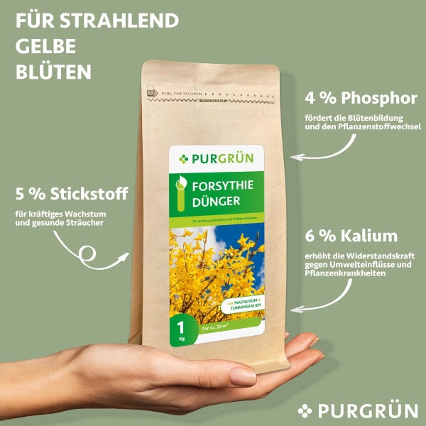 Purgrün Forsythie-Dünger 1 kg