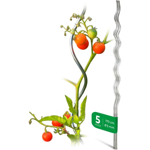 Tomatenspiralstäbe im 5er-Set aus verzinktem Stahl, Länge 170 Zentimeter, Durchmesser 5 Millimeter.