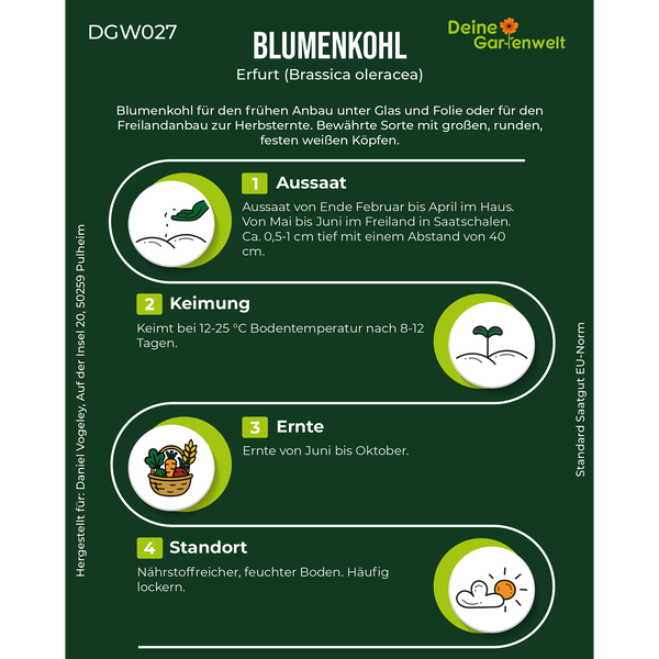 Infografik für Blumenkohl Erfurt von Deine Gartenwelt Logo: Aussaat Februar bis Juni, Keimung bei 12 bis 25 Grad, Ernte Juni bis Oktober.