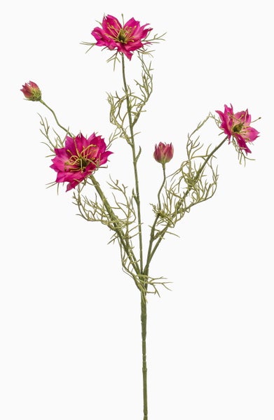 Nahaufnahme der dichten Zweige einer Bastardzypresse für Gartenhecken.