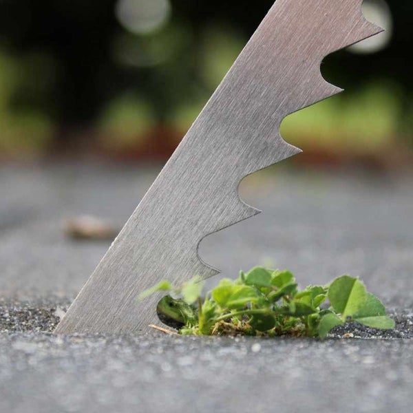 Fugenkratzer aus Metall entfernt Unkraut in einer Pflasterfuge.