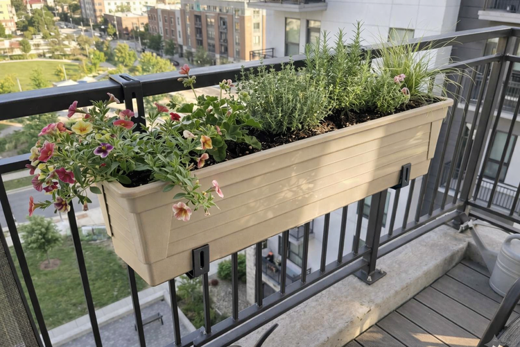 Beige Balkonkasten aus Kunststoff mit Blumen und Kräutern, befestigt mit schwarzen Halterungen an einem Metallgeländer auf einem Balkon.