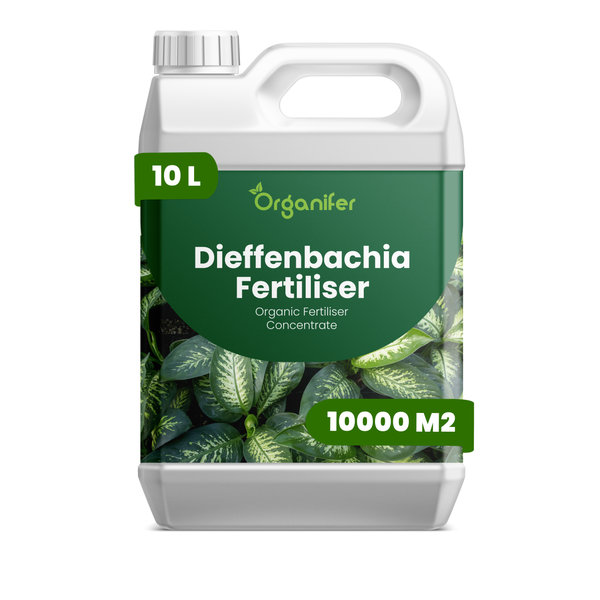 Organifer Dieffenbachia Dünger, organisches Düngerkonzentrat, 10 Liter Kanister für circa 10000 Quadratmeter.